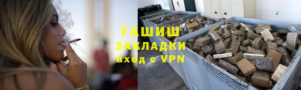 хмурый Алзамай