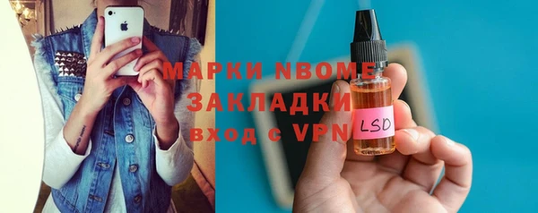 хмурый Алзамай