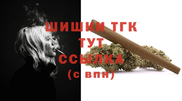 шишки Ладушкин