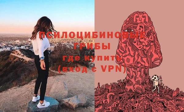 хмурый Алзамай